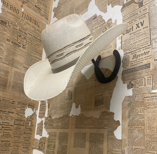 Hatthängare av hästskor